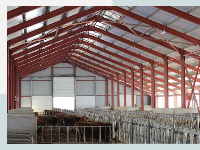 Строительство коровников в Аксае