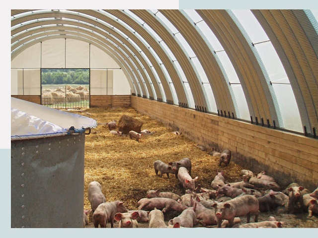 Строительство свинарников в Аксае