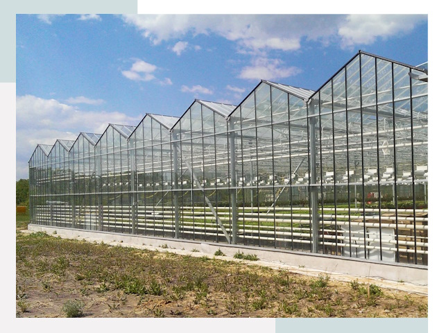 Строительство теплиц в Аксай от 609 руб. за м²